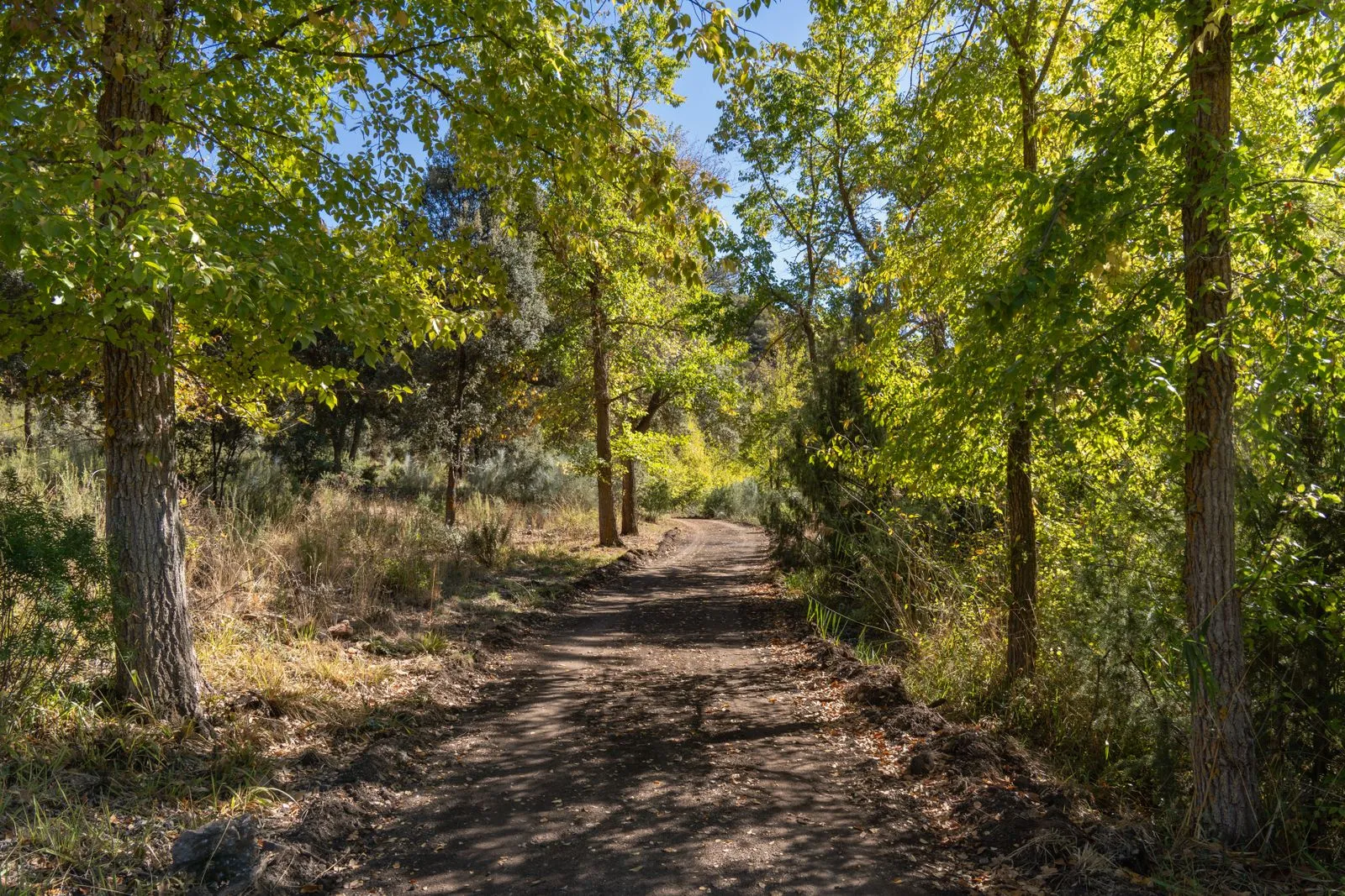 Easy Hikes Near Princeton, New Jersey